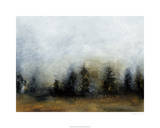 Land IV