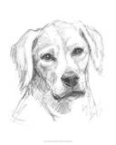 Constant Companion I