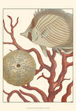 Coastal Collection II