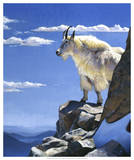 Rocky Mountain High