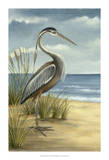 Shore Bird I