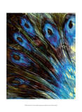 Feather II