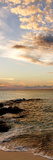 Bimini Afternoon II