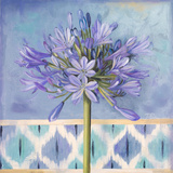 Lily of the Nile I