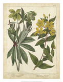 Non-Embellish Enchanted Garden III