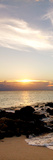 Bimini Afternoon I