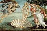 The Birth of Venus  c1485