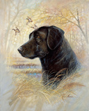Devoted Friend