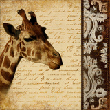Madagascar Safari I
