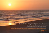 Sunrise II