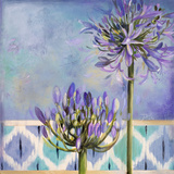 Lily of the Nile II