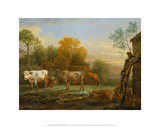 Cattle in a Meadow  1652