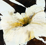 Blanco Flor IV