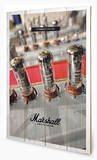 Marshall-The Kings of England