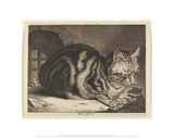 The Large Cat  1657