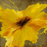 Colourful Flowers II