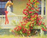 Crimson Rambler