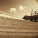Drifting Sands III