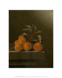 Still Life with Five Apricots  1704