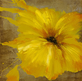 Colourful Flowers I