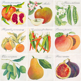 Summer Bounty