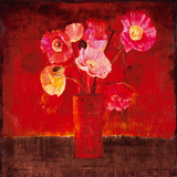 Red Magellan I