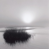 Fog over Katama