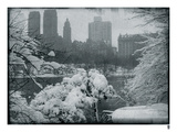 New York City In Winter IX
