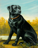 Kennel Club I