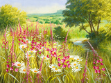 A Meadow In Spring