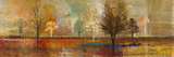 Tree Shadows I