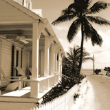 Coastal Road - Sepia