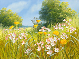Cuckoo Flowers