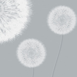 Gossamer Breeze IV