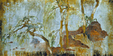 Ancient Garden
