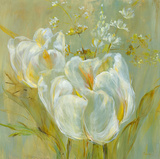 Haiku Of The Tulip I