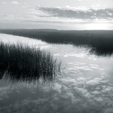 Salt Marsh Reflections