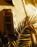 Midday Shutters