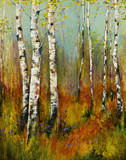 Aspen Summer