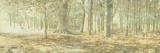 Treescape I