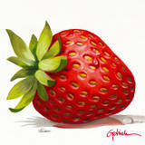 FrAgoLa