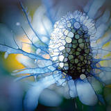 Eisdistel