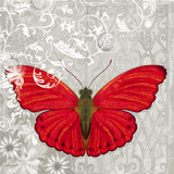 Red Butterfly I