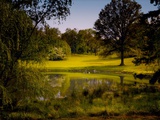 A Peaceful Rural Scene with Trees Lake  Green Grass and Blue Sky