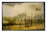 A Country Scene with Small Trees