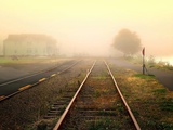 Fog on the Tracks