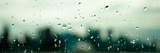 Rain City