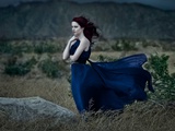 Ask the Wind