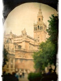 The Giralda Tower as Seen from Patio De Banderas Square  Seville  Spain