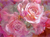 Pink Poetry
